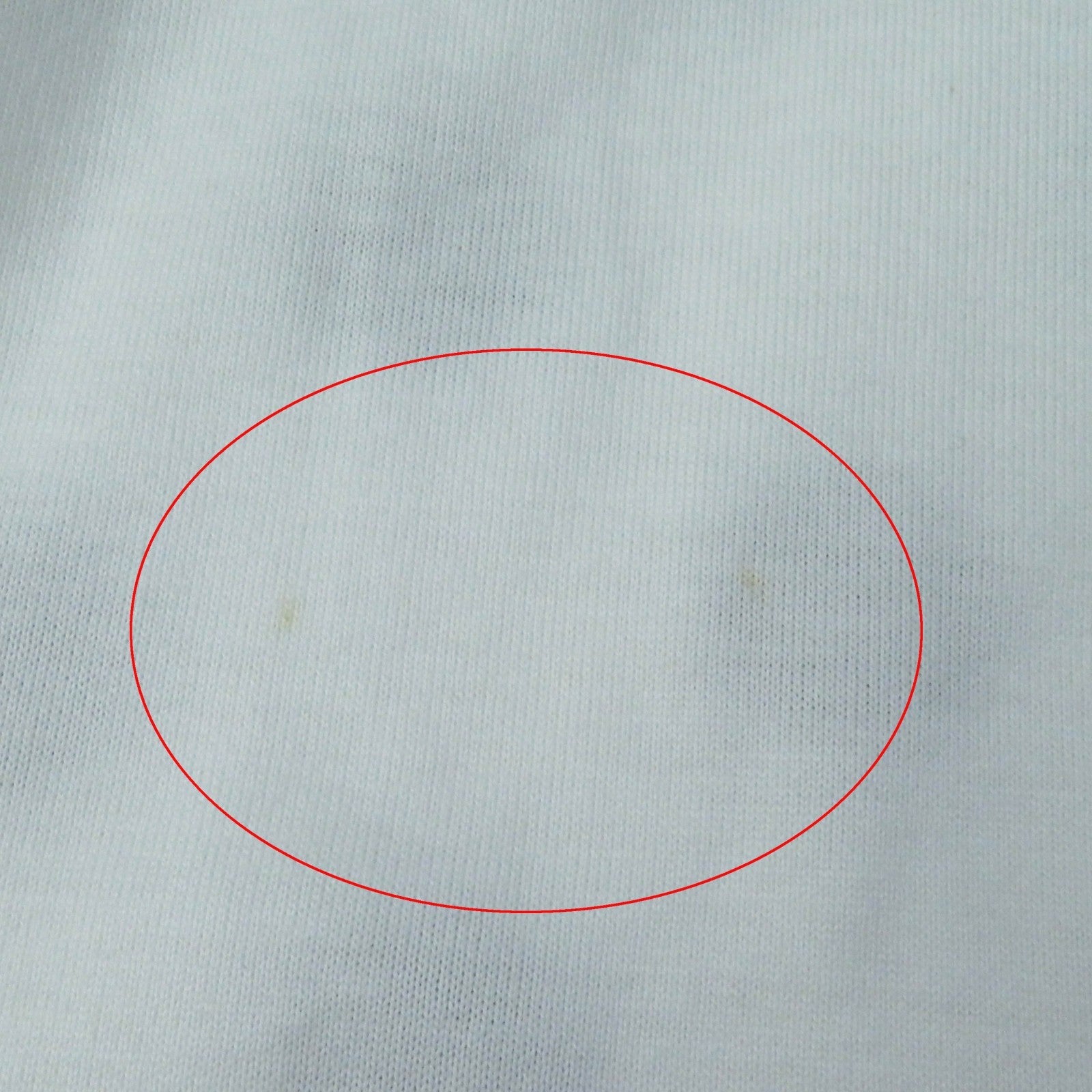 コットン ドット柄 クルーネック Tシャツ レディース