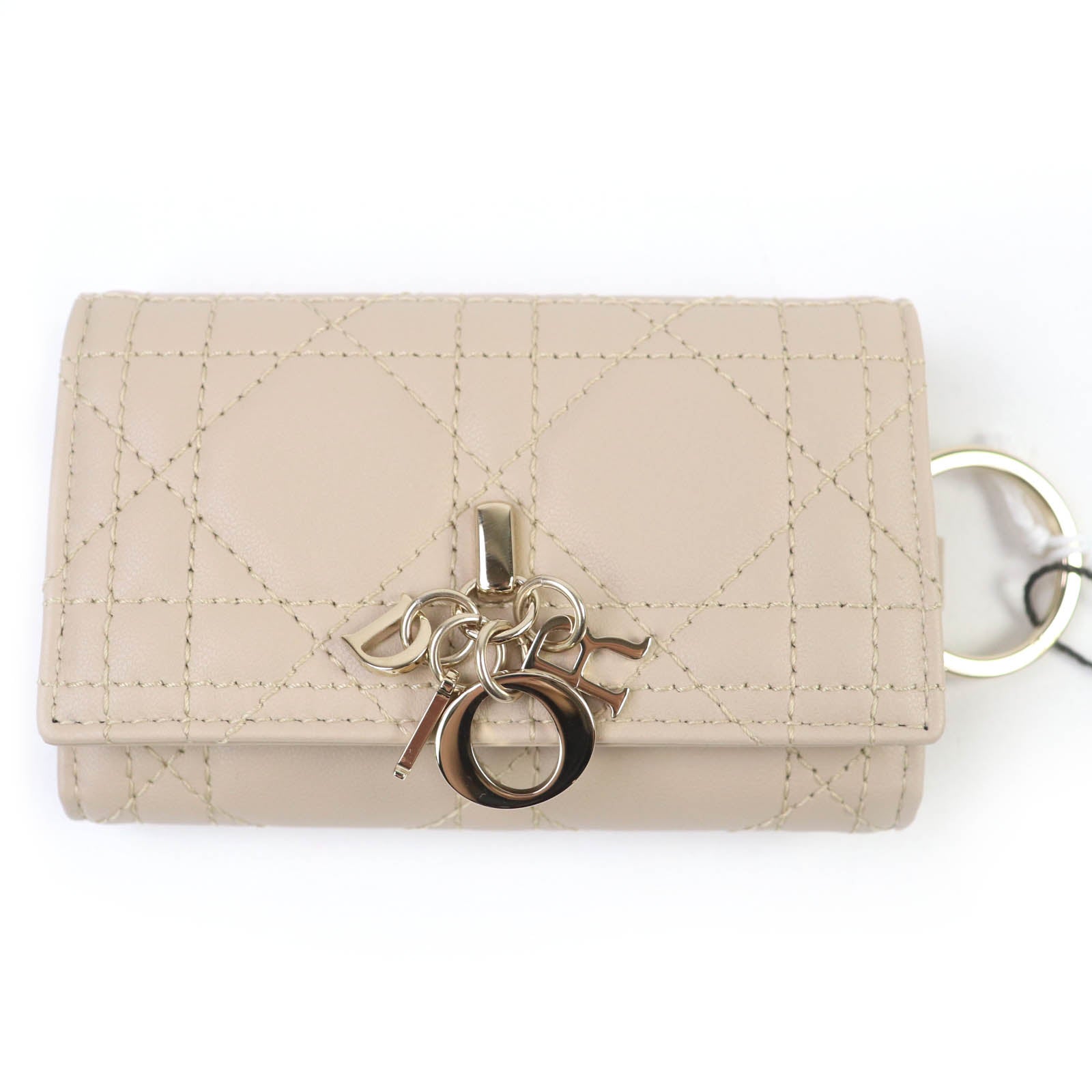 Dior My Dior Aster Leather Key Holder Japan Edition