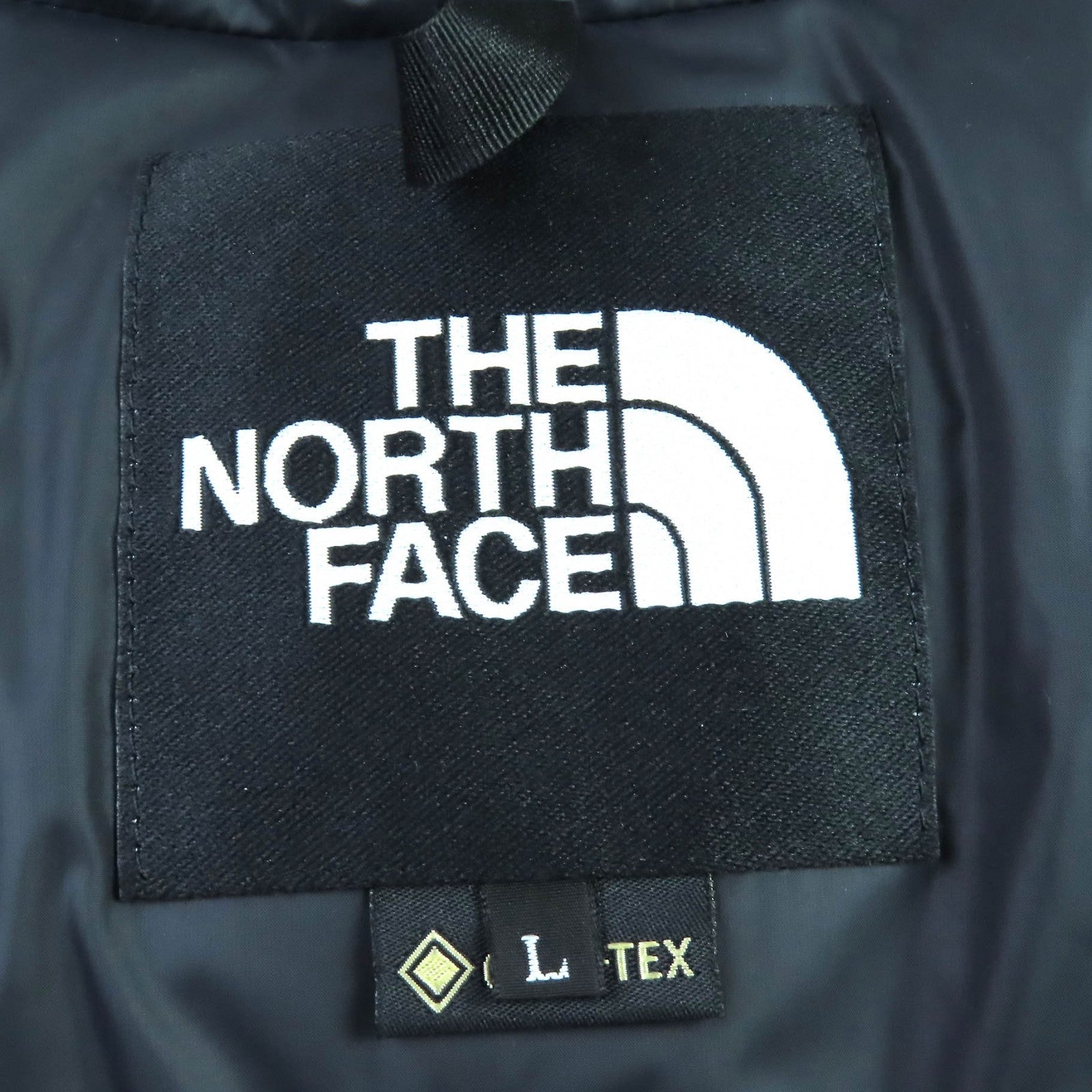 ザノースフェイス Mountain Down Coat GORE-TEX ダウンコート