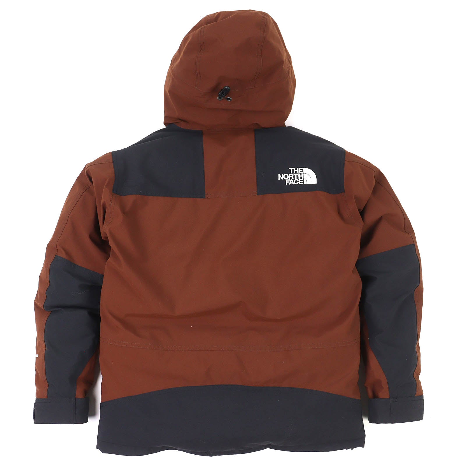 ザ・ノースフェイス Mountain Down Jacket GORE-TEX ダウンジャケット