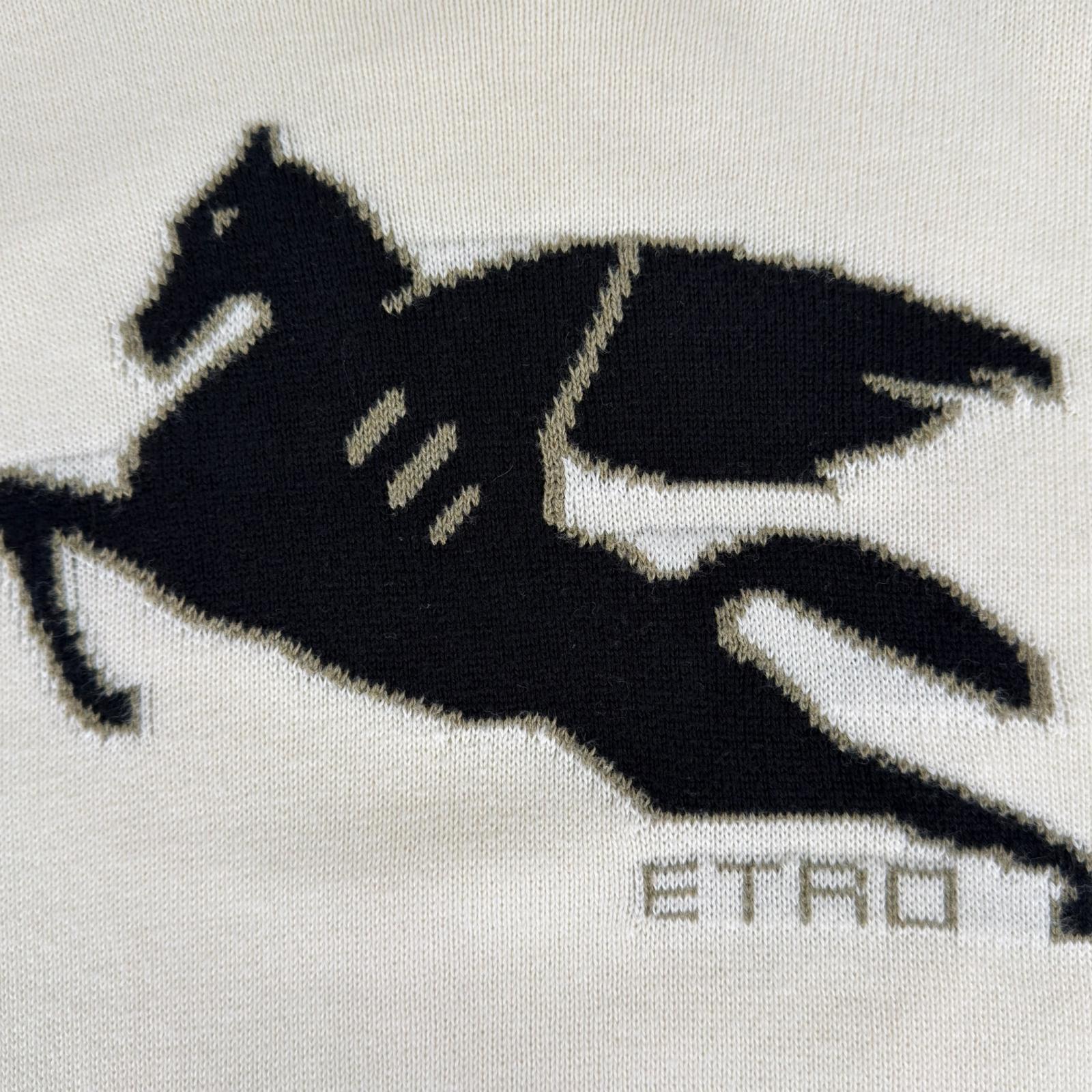 エトロ コットンニットトップス