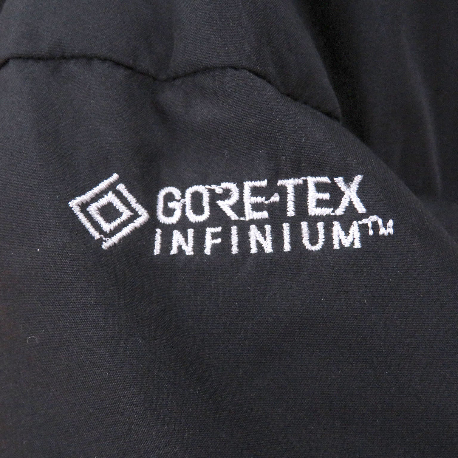 ザノースフェイス Gore Tex ダウンコート