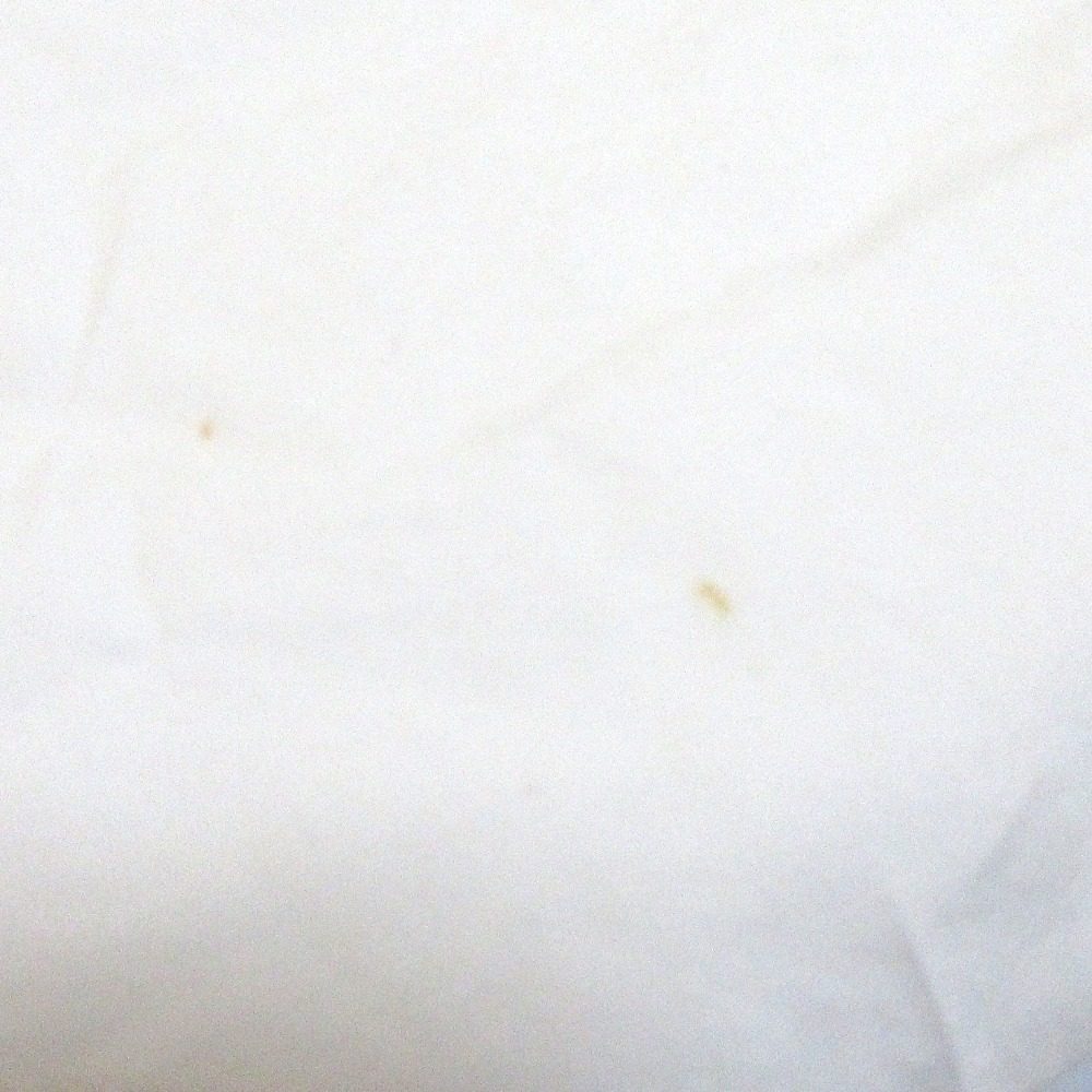 support surface レイヤードフレンチスリーブブラウス