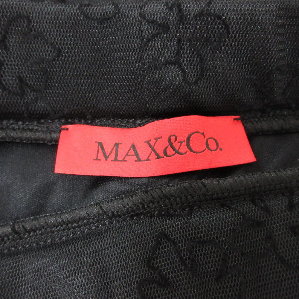 MAX&Co. 刺繍 チュール プリーツ スカート