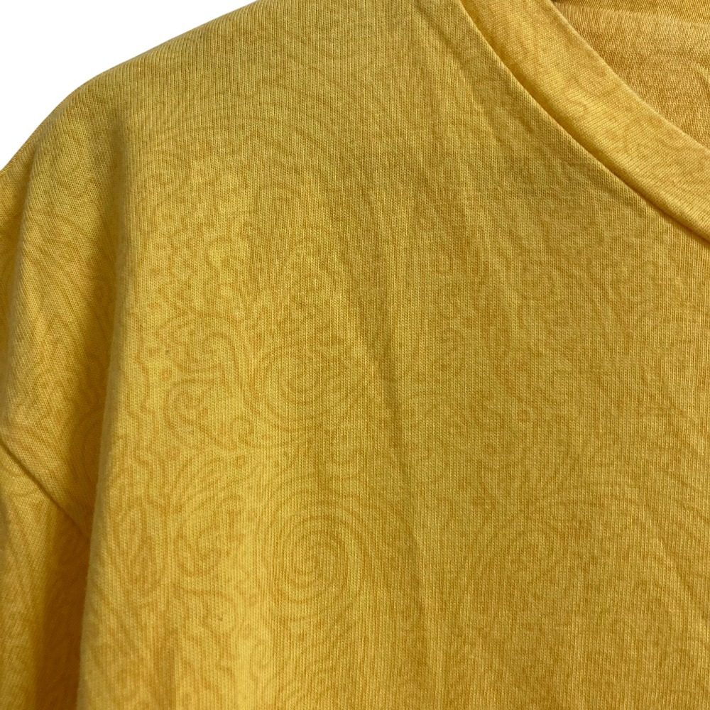 エトロ ペイズリー コットンTシャツ