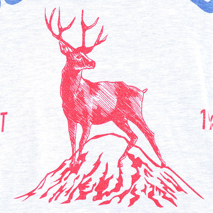 Dsquared2 MOUNTAIN CREW コットン Tシャツ
