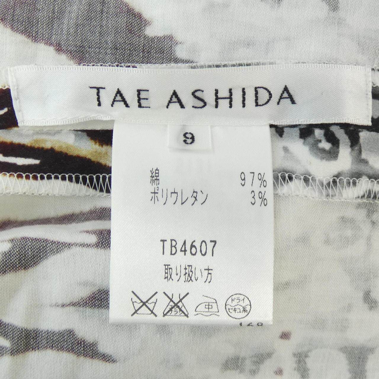 タエアシダ セットアップ
