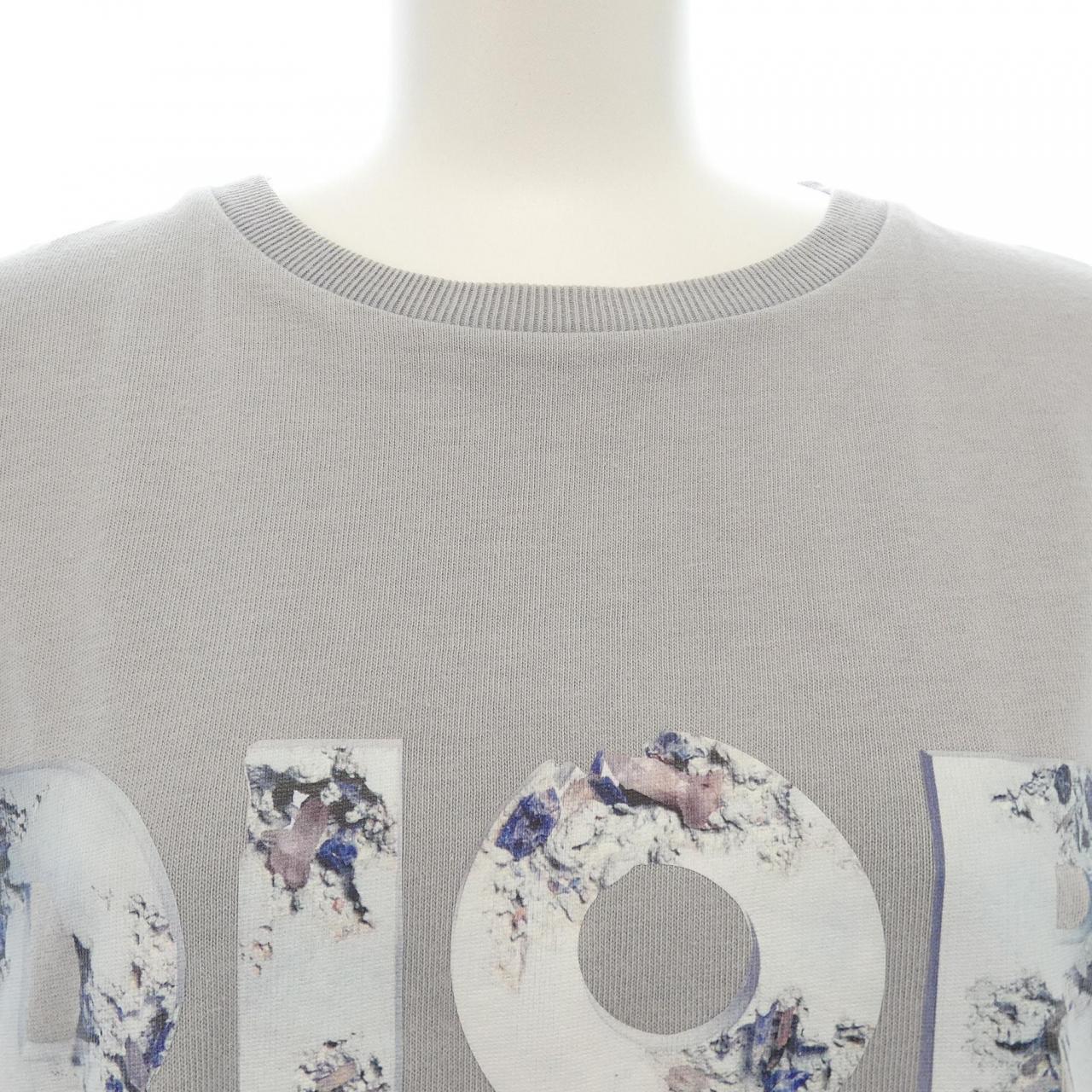 ディオール DANIEL ARSHAM Tシャツ