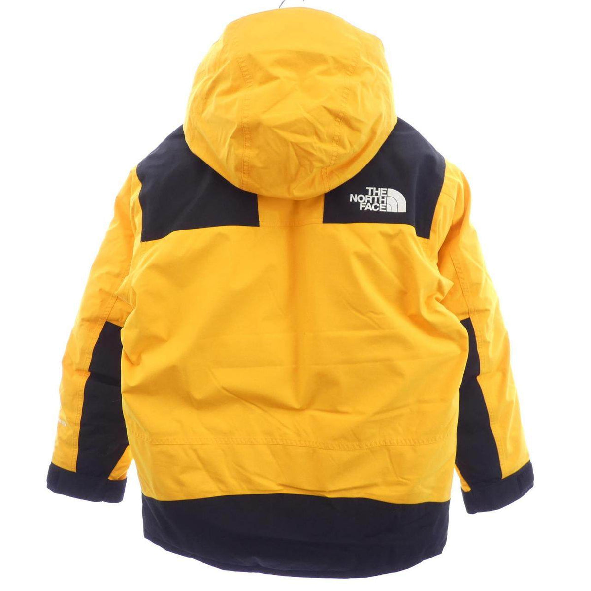 ザノースフェイス GORE-TEX ダウンジャケット