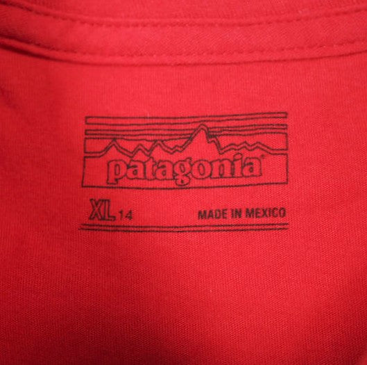 パタゴニア P-6ロゴ オーガニックコットン Tシャツ