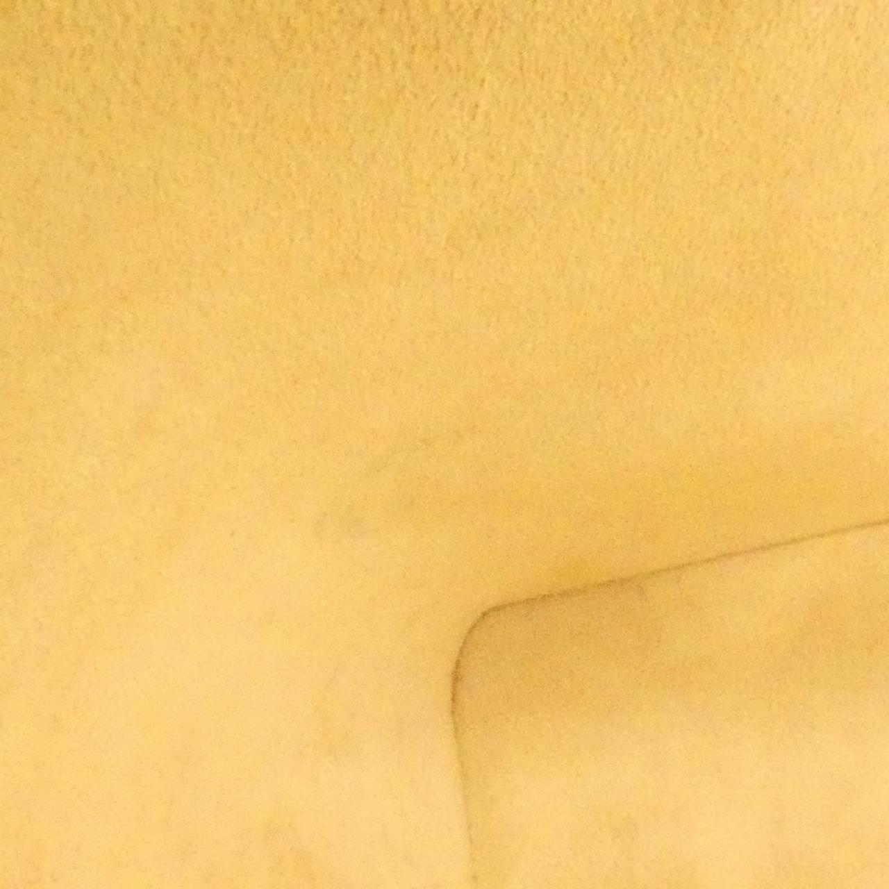 ルイ・ヴィトン モノグラム コーティング キャンバス バッグ