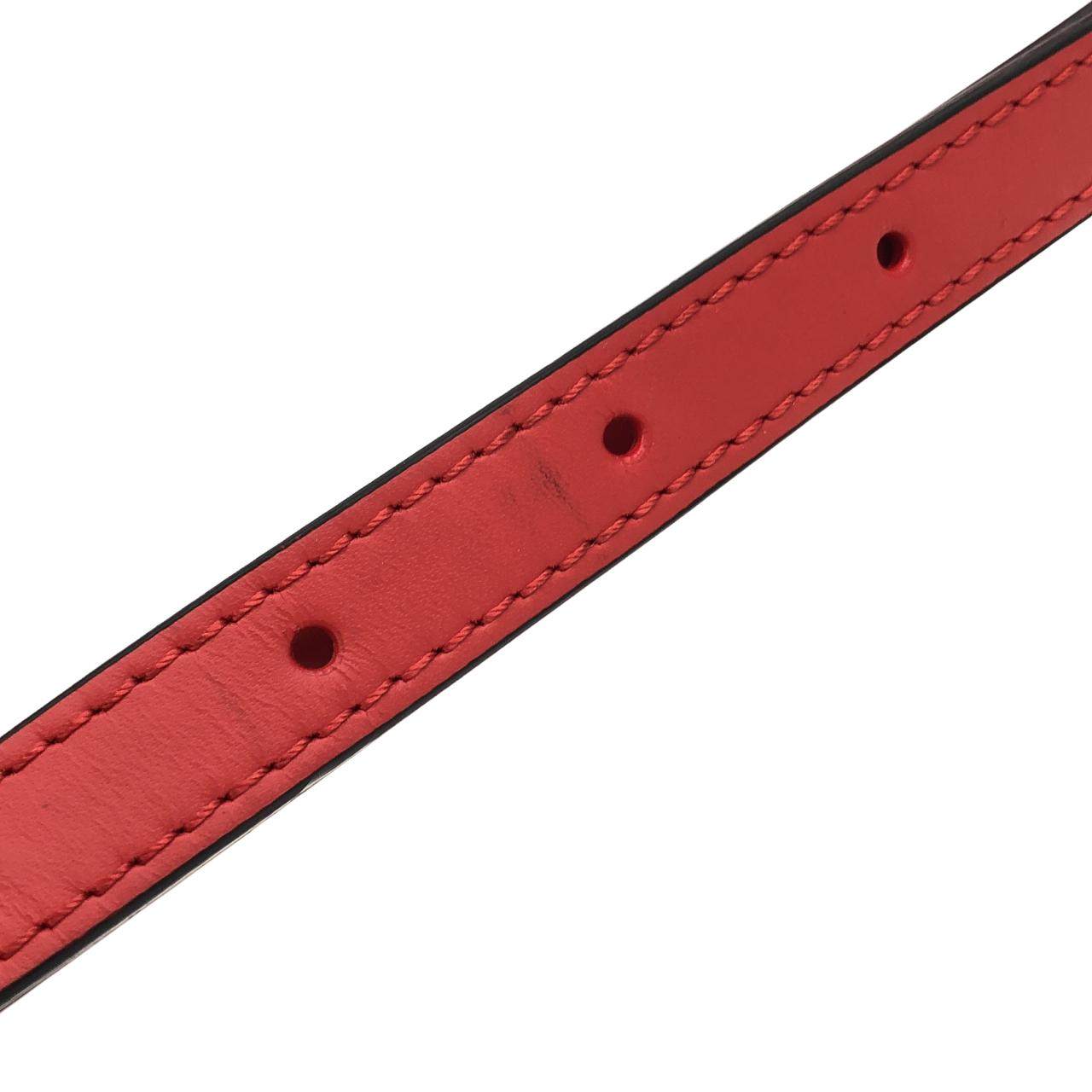 ルイヴィトン ダヌーブ エピ SUPREME ショルダーバッグ 限定