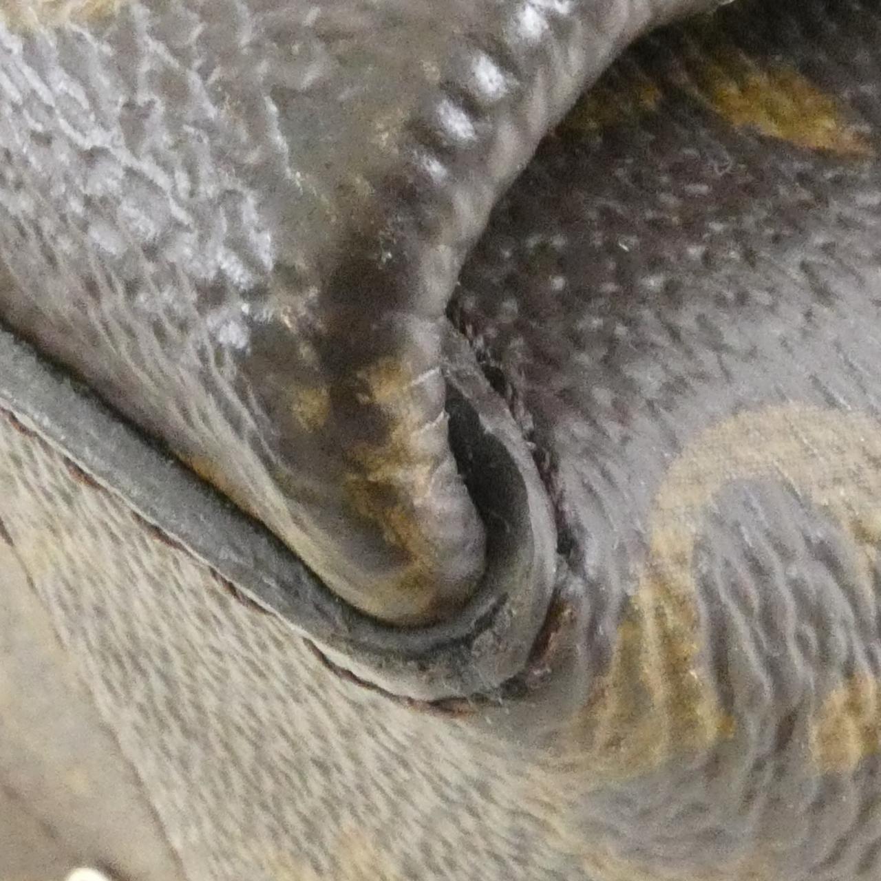 ルイヴィトン モノグラム バッグ
