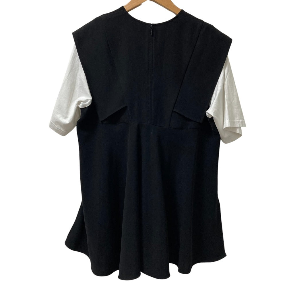 ENFOLD SLEEVE-LAYERED PULLOVER ブラウス