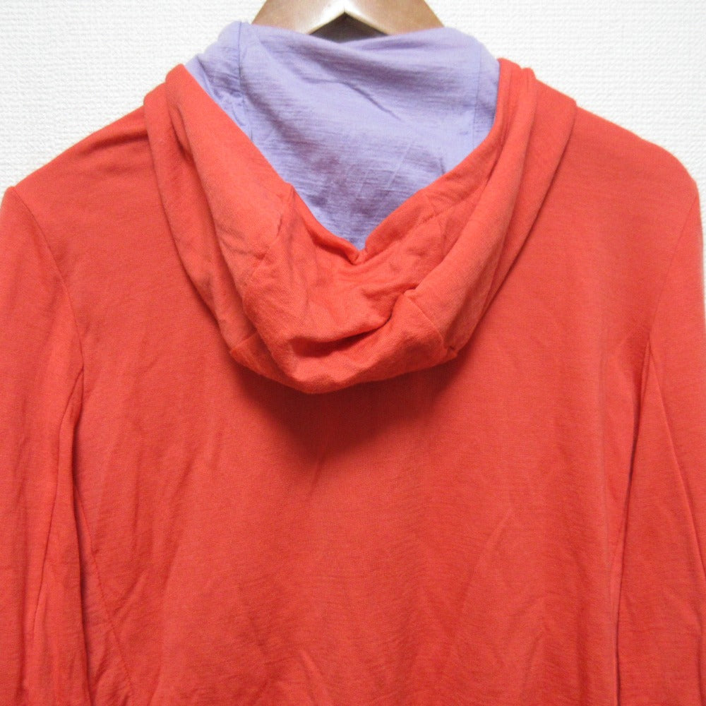 アイスブレーカー クァンタム III ロングスリーブジップフーディー