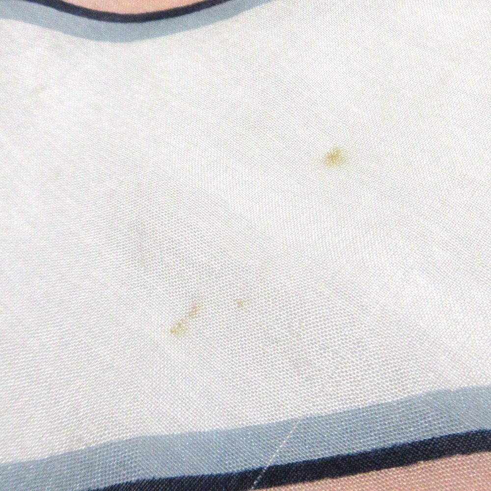 シトラス シフォンストール