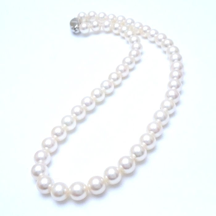アコヤ パール ネックレス シルバー 7-8mm 40cm