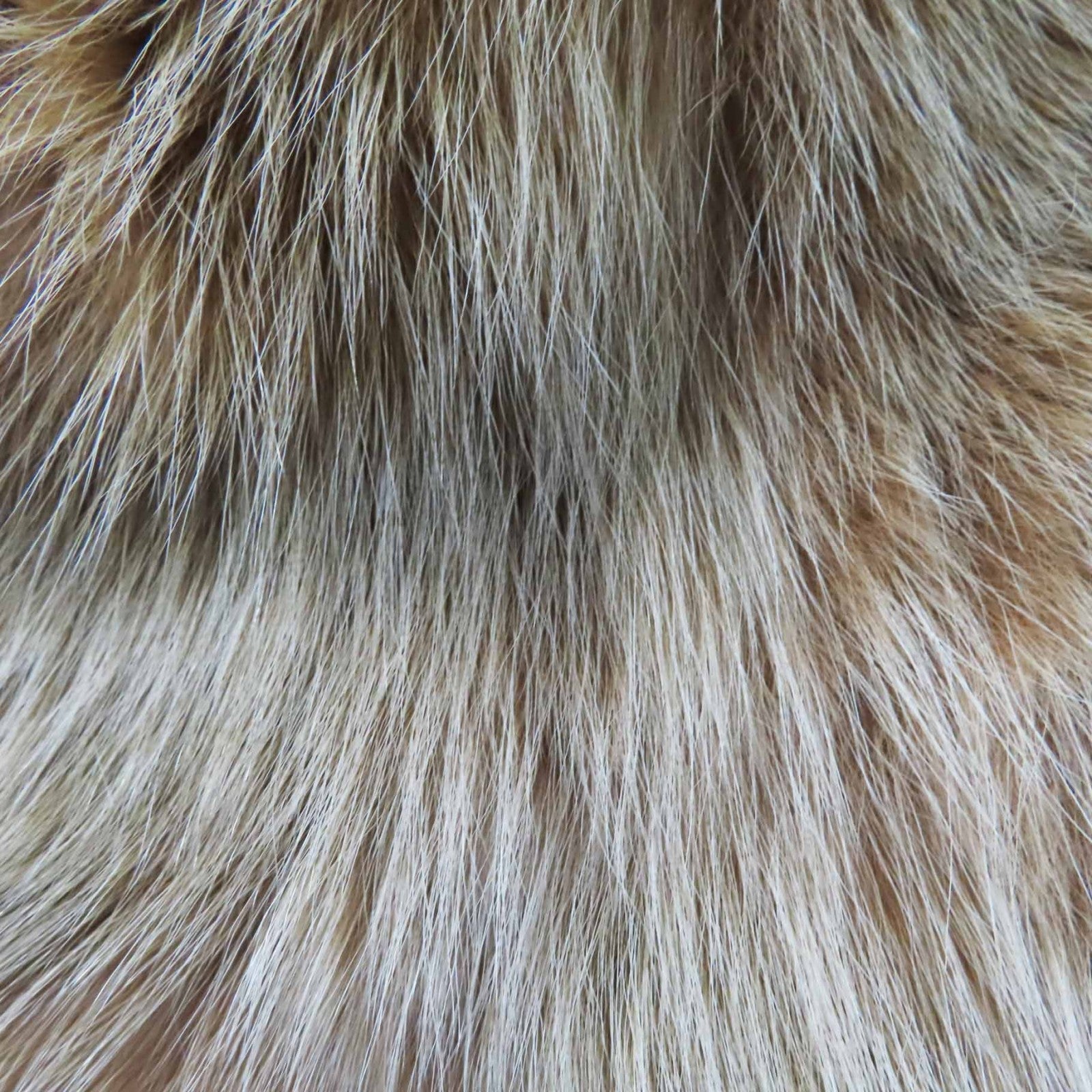 フェンディ ズッカ パターン フォックス バケット ハット