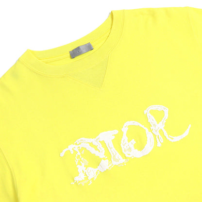 ディオール ピーター ドイグ コットン ポリエステル Tシャツ