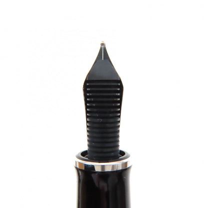 Pelikan Souverän 14K 万年筆