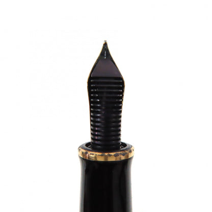 Pelikan ソブリン 14K 万年筆