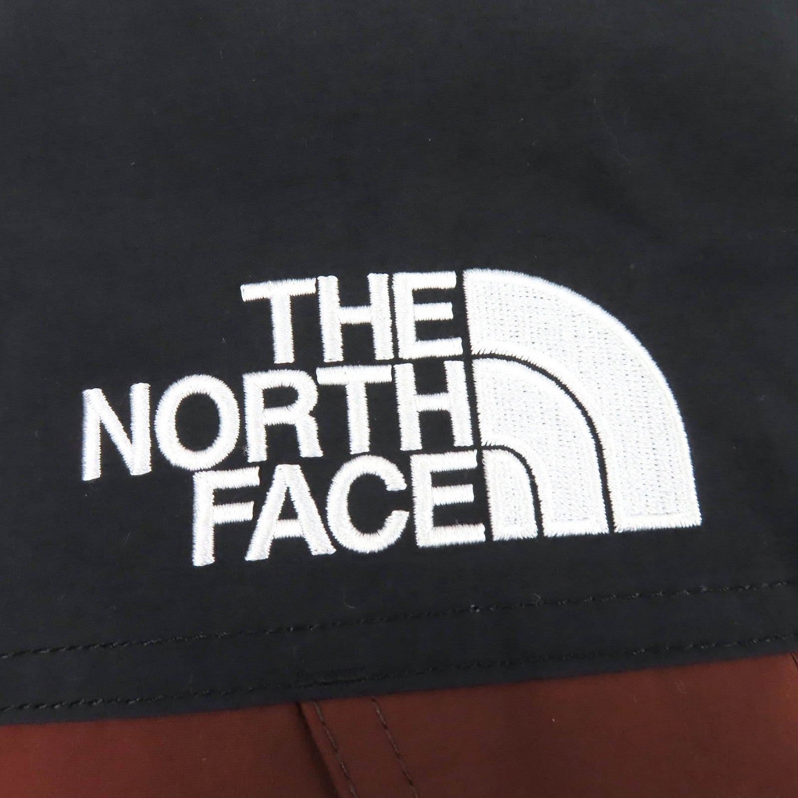 ザ・ノースフェイス Mountain Down Jacket GORE-TEX ダウンジャケット