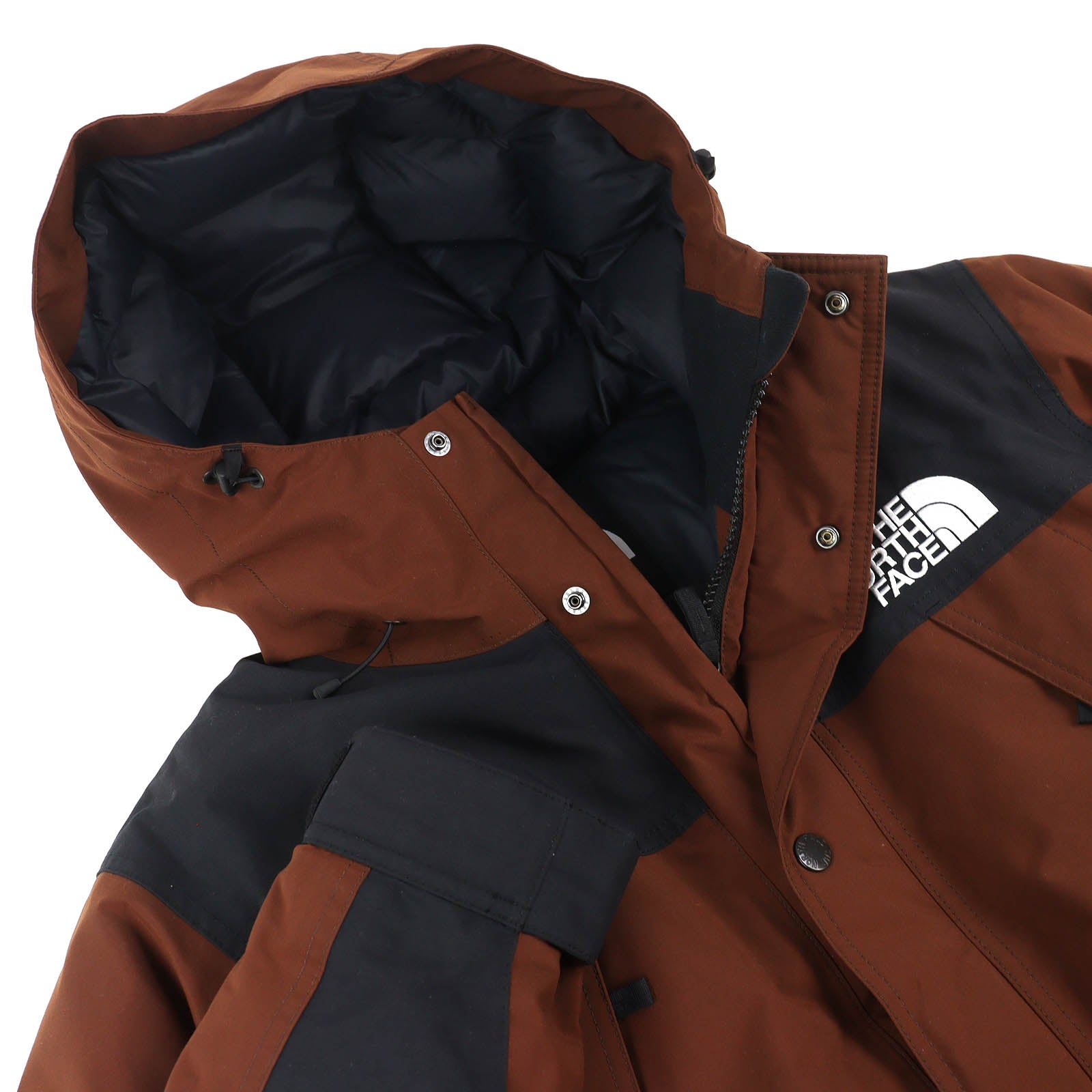 ザ・ノースフェイス Mountain Down Jacket GORE-TEX ダウンジャケット