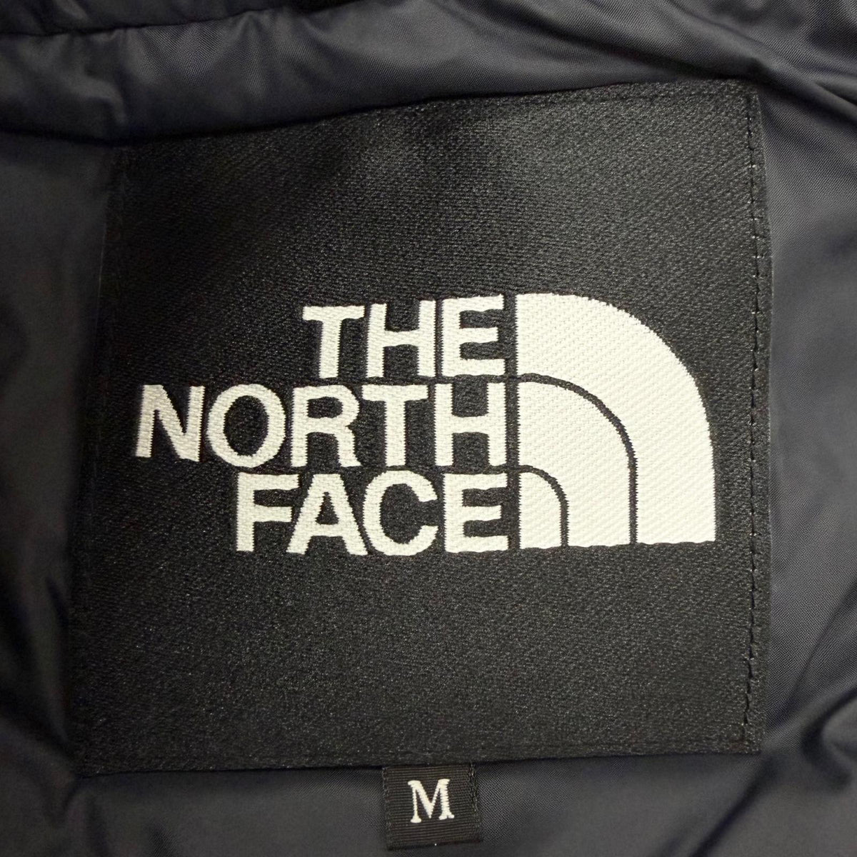 ザノースフェイス Mountain Down Jacket GORE-TEX ダウンジャケット