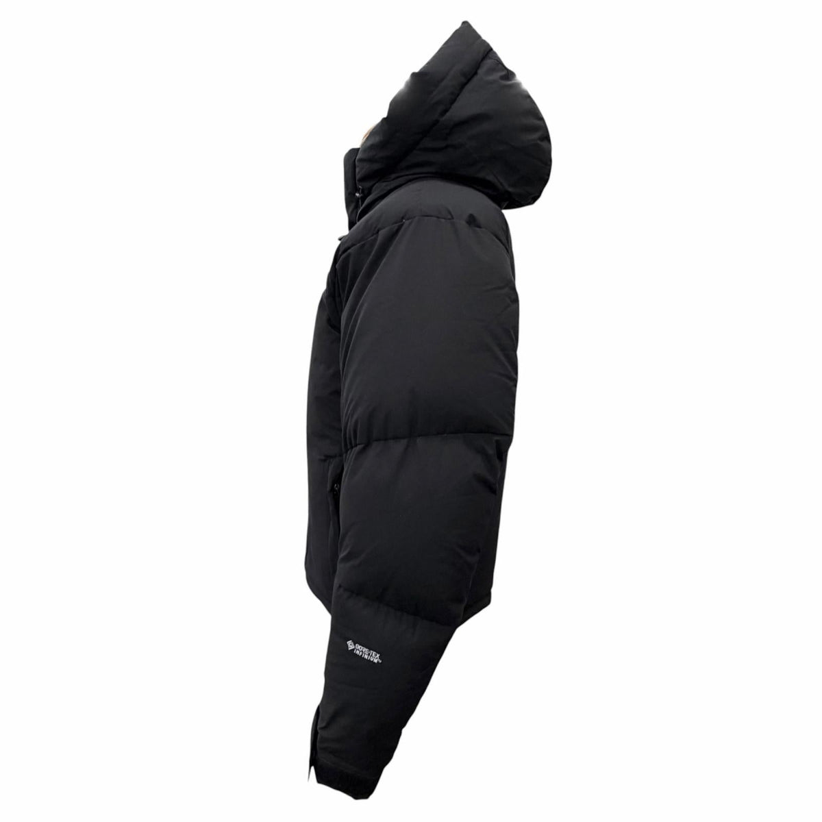 ザノースフェイス バルトロライトジャケット GORE-TEX ダウンジャケット