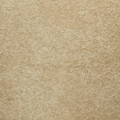 クロエ フェイ スモール スエード レザー ショルダーバッグ