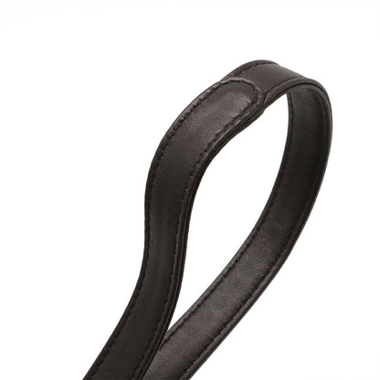ロエベ フラメンコ22 ナッパレザー 2WAYショルダーバッグ
