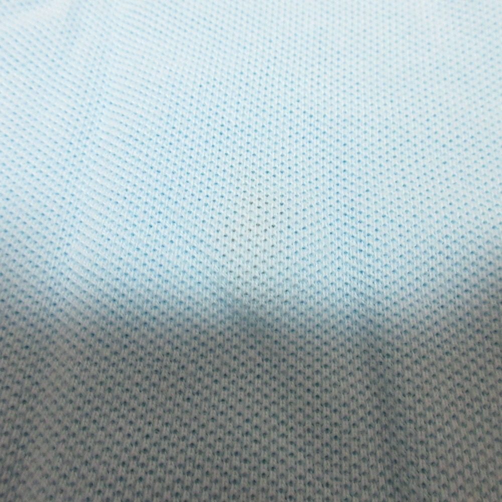 ラルフローレン THE SKINNY POLO 鹿の子半袖トップス