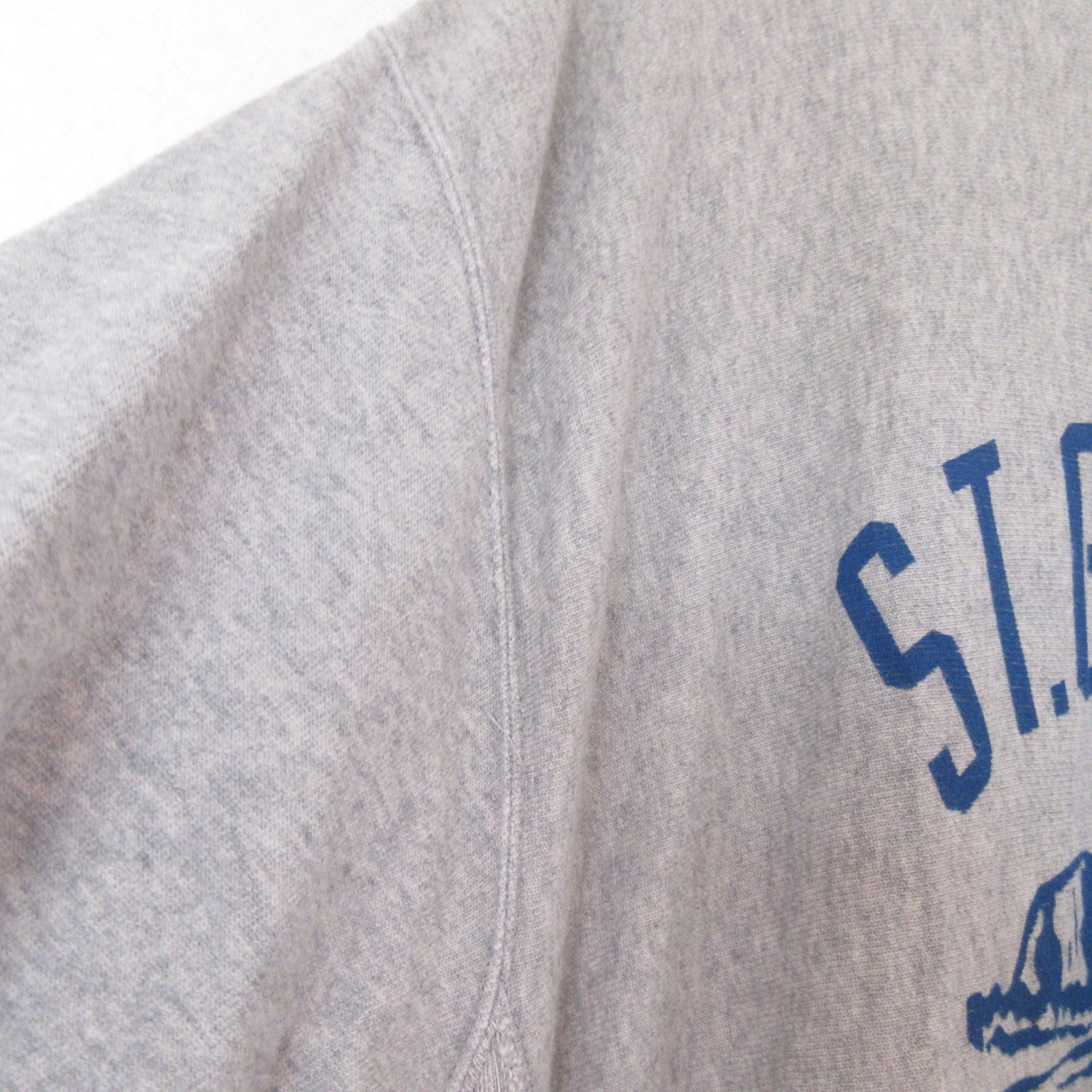 Champion リバース ウィーブ ドレス