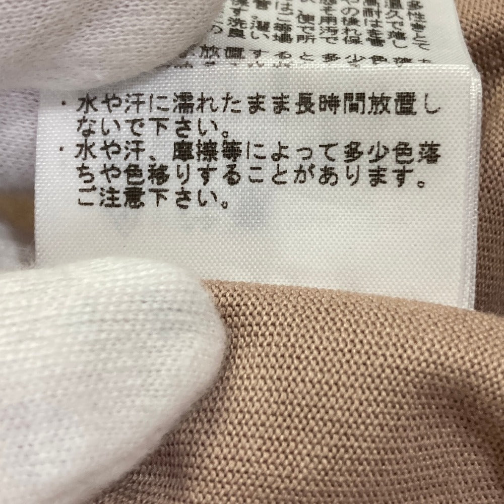ザノースフェイス TEC BIG TEE 半袖Tシャツ