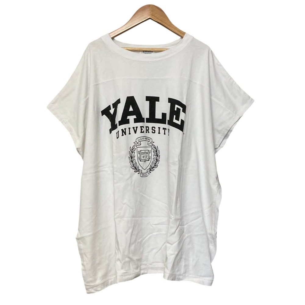 ジャーナルスタンダード カレッジロゴビッグプルオーバーTシャツ