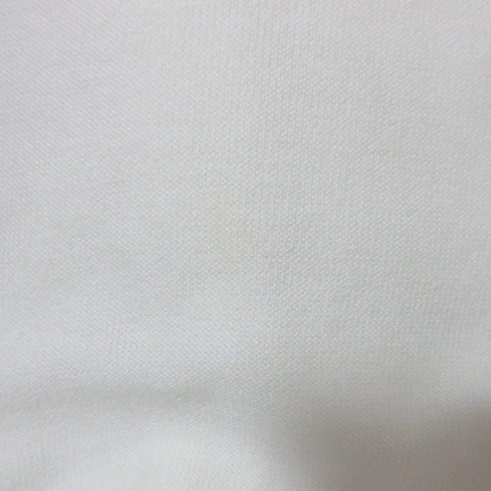 エトロ ベルベットロゴ コットンTシャツ