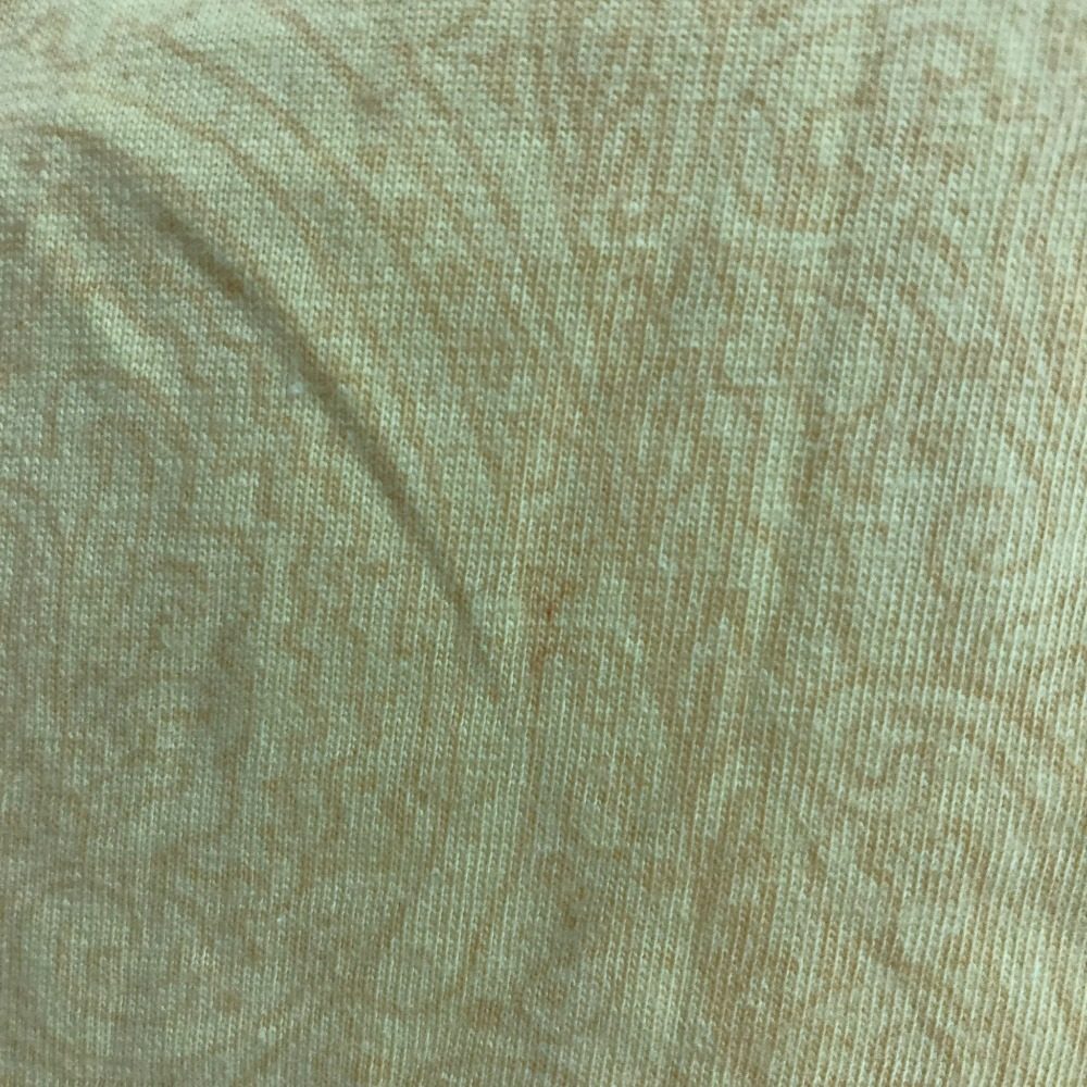 エトロ ペイズリー コットンTシャツ