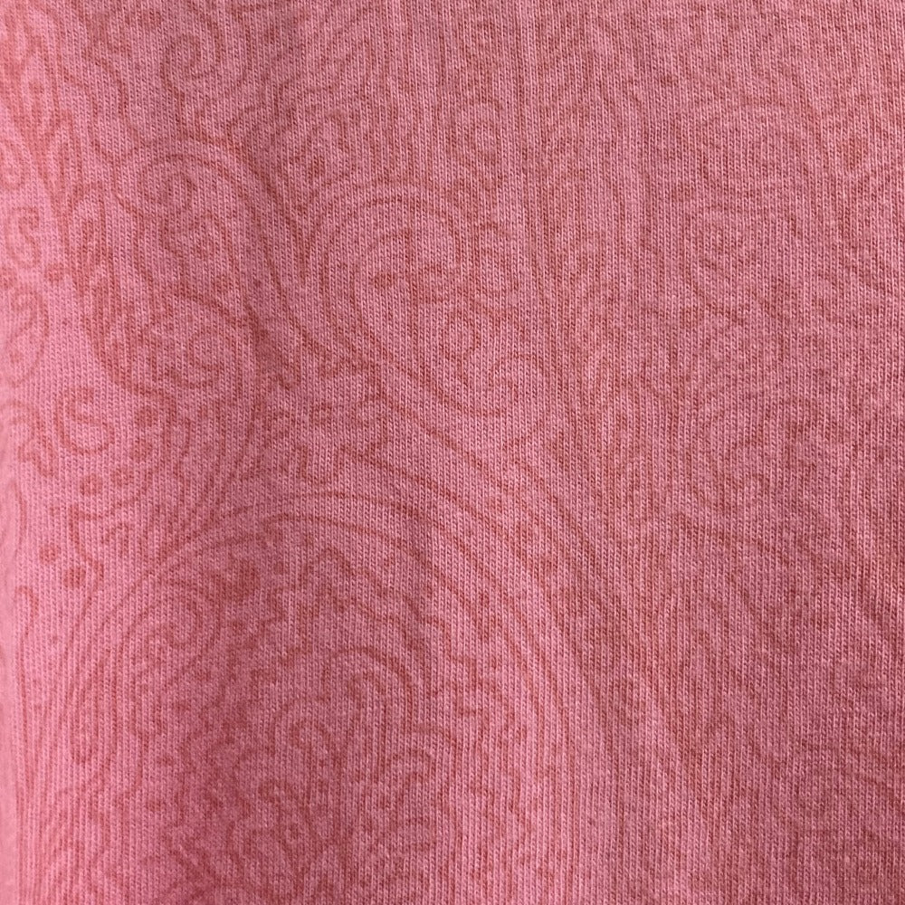 エトロ ペイズリー柄 半袖Tシャツ