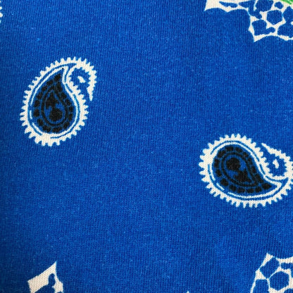 エトロ ペイズリー柄コットンTシャツ