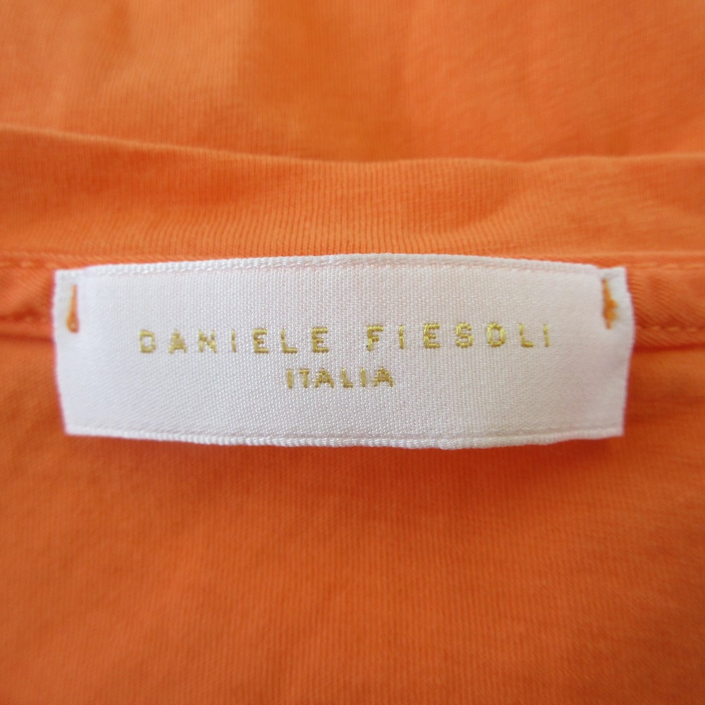 ダニエレフィエゾーリ コットンTシャツ