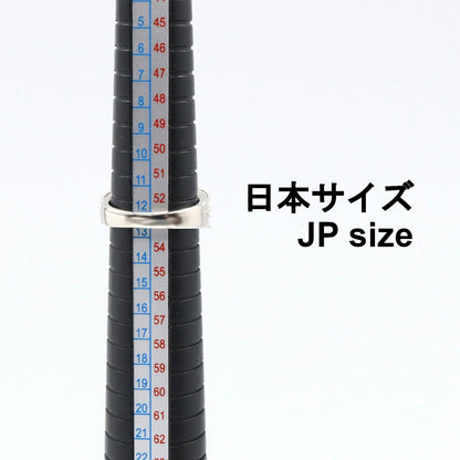 ジュエリー ダイヤモンド Pt900プラチナ リング