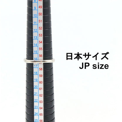 ジュエリー Pt900プラチナダイヤモンドリング