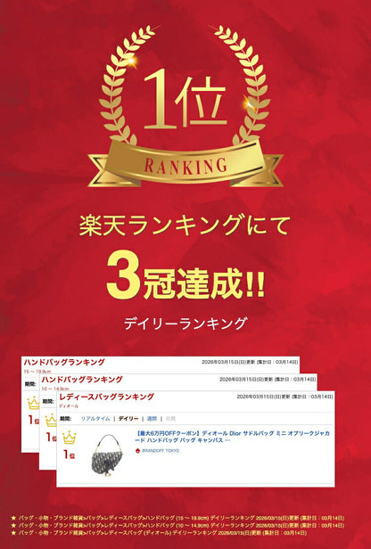 ディオール サドルバッグ オブリークジャカード キャンバスレザー ハンドバッグ