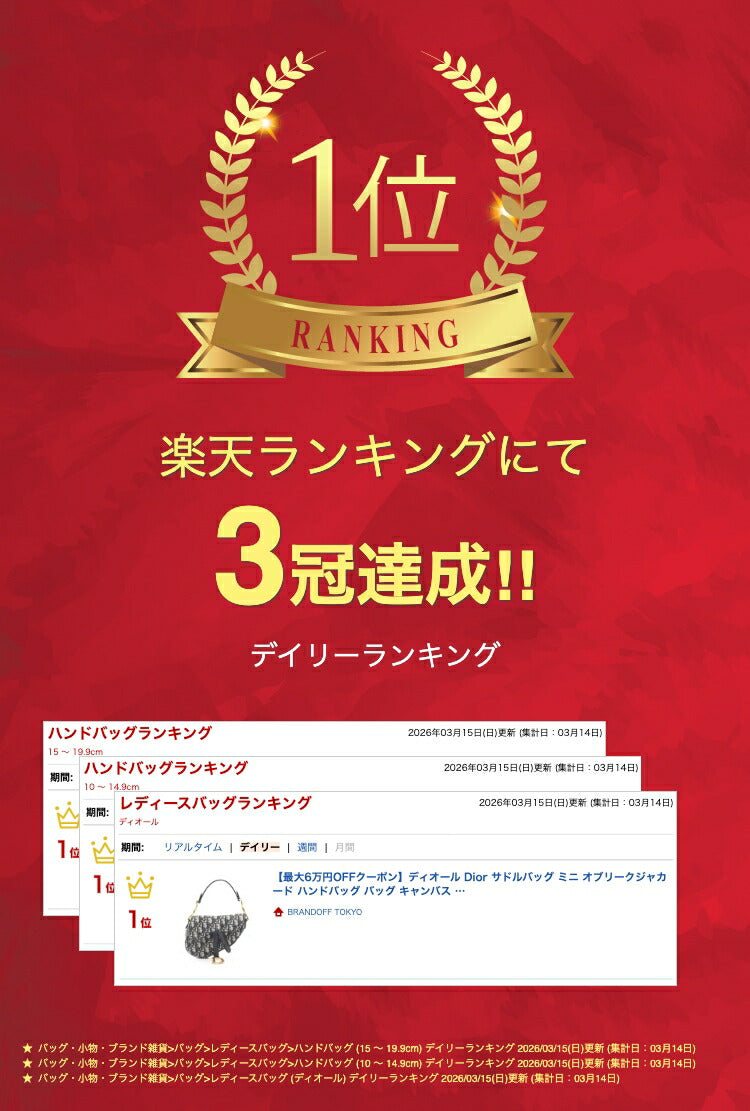 ディオール サドルバッグ オブリークジャカード キャンバスレザー ハンドバッグ