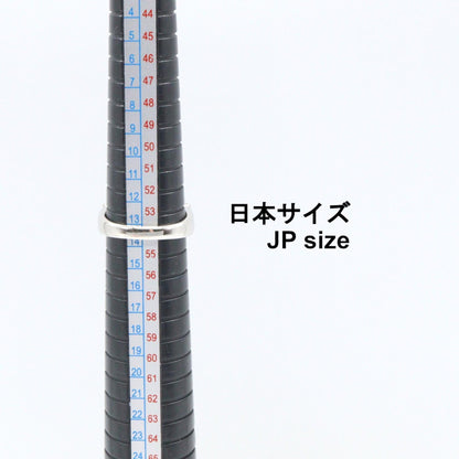 ジュエリー ダイヤモンド Pt900プラチナ リング