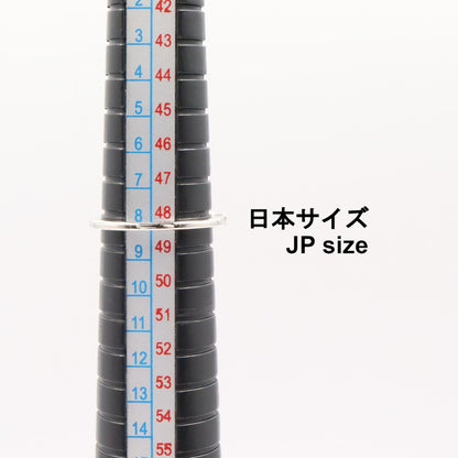 Pt900プラチナダイヤモンドリング
