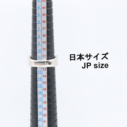 ジュエリー ダイヤモンド Pt900プラチナ リング
