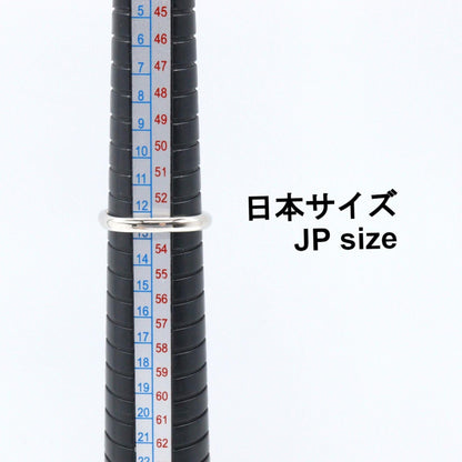 ジュエリー Pt900プラチナダイヤモンドリング