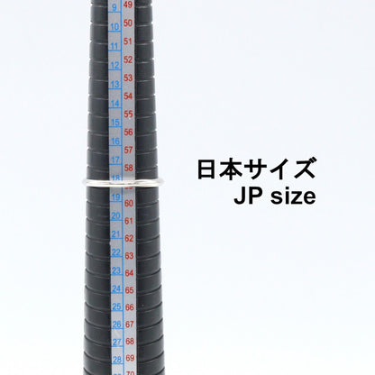 ジュエリー Pt900プラチナダイヤモンドリング