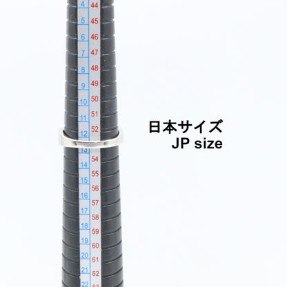 Pt900プラチナルビーダイヤリング
